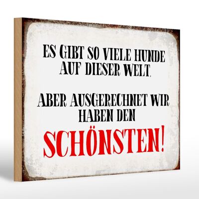 Holzschild Spruch 30x20cm wir haben den schönsten Hund