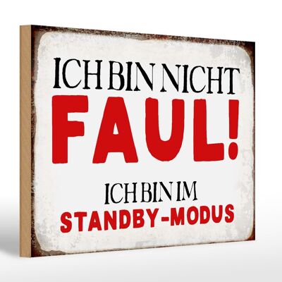 Holzschild Spruch 30x20cm bin nicht faul im standby Modus