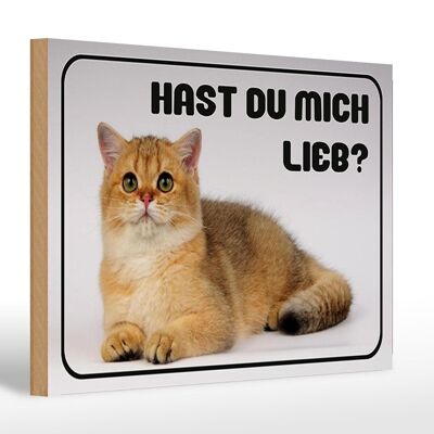 Holzschild Katze 30x20cm hast du mich lieb? Geschenk