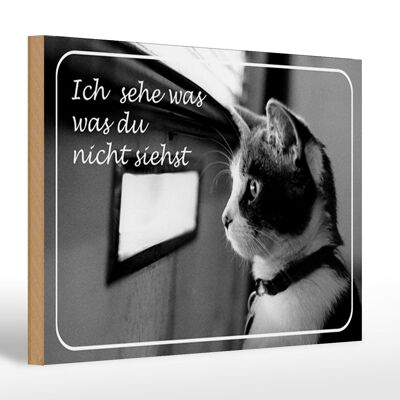 Holzschild Katze 30x20cm ich sehe was du nicht siehst