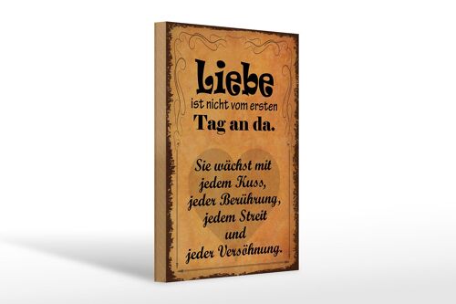 Holzschild Spruch 20x30cm Liebe ist nicht vom ersten Tag