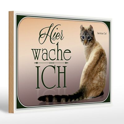 Holzschild Katze 30x20cm American Curl hier wache ich