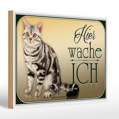 Holzschild Katze 30x20cm American Shorthair hier wache