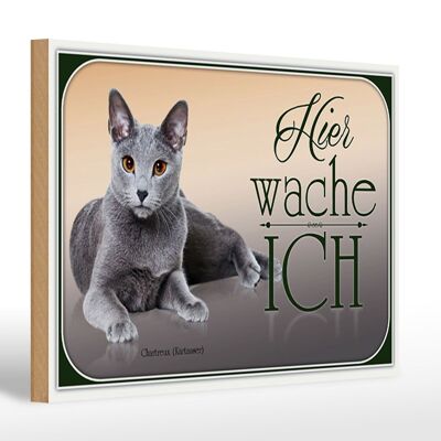 Holzschild Katze 30x20cm Chartreux hier wache ich