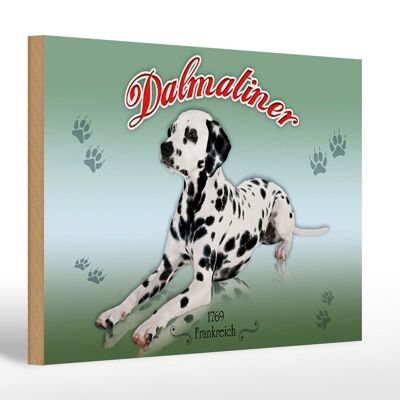 Holzschild Hund 30x20cm Dalmatiner 1769 Frankreich