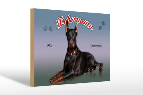 Holzschild Hund 30x20cm Dobermann 1850 Deutschland