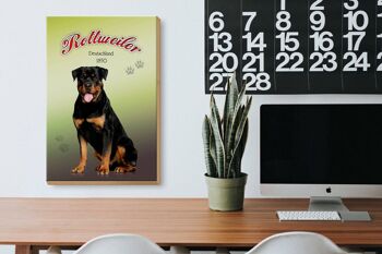 Panneau en bois chien 20x30cm Rottweiler Allemagne 1850 3