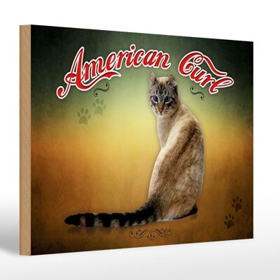 Cartel de madera gato 30x20cm decoración de pared American Curl