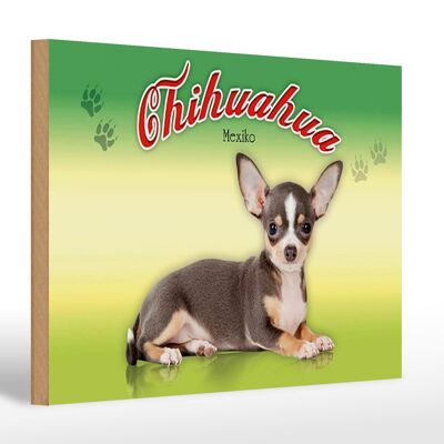 Wooden sign dog 30x20cm Chihuahua Mexico wall decoration