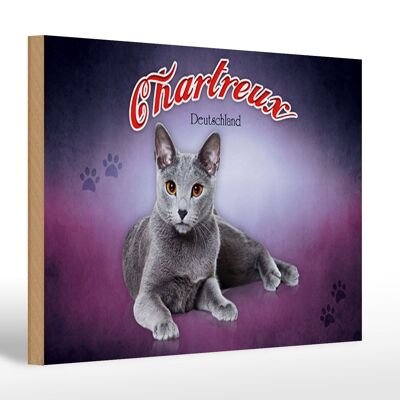 Wooden sign cat 30x20cm Chartreux Germany