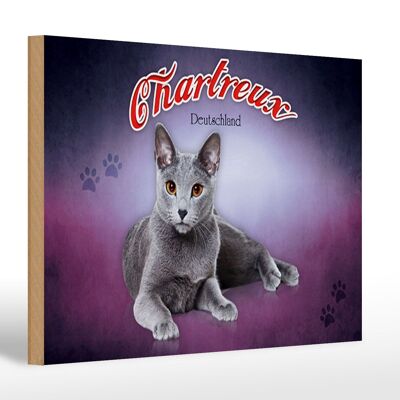 Cartel de madera gato 30x20cm Chartreux Alemania