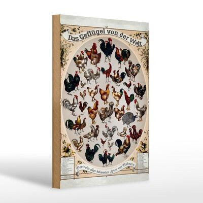 Wooden sign poultry species 20x30cm the poultry of the world
