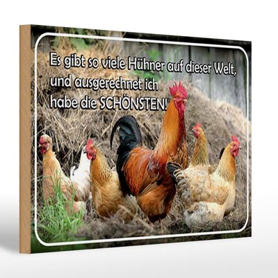 Holzschild Spruch 30x20cm es gibt so viele Hühner und