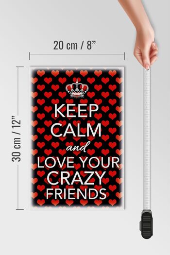 Panneau en bois disant 20x30cm Keep Calm and love crazy friends 4