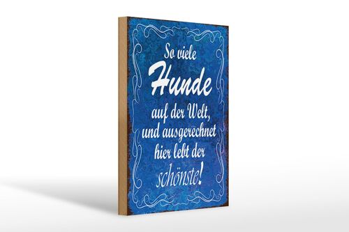 Holzschild Spruch 20x30cm so vielen Hunde auf der Welt