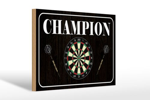 Holzschild Spruch 30x20cm Darts Champion