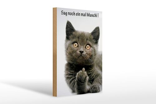 Holzschild Spruch 20x30cm Katze sag noch ein mal Muschi