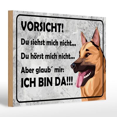 Holzschild Spruch 30 x 20cm Vorsicht Hund Du siehst mich nicht