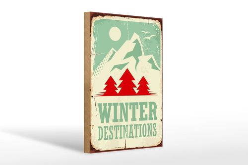 Holzschild Retro 20x30cm Ski winter destinations Abenteuer