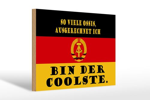 Holzschild Spruch 30x20cm so viele Ossis bin der coolste