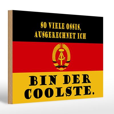 Holzschild Spruch 30x20cm so viele Ossis bin der coolste