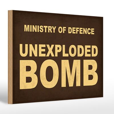 Holzschild Spruch 30x20cm ministry of defence unexploded