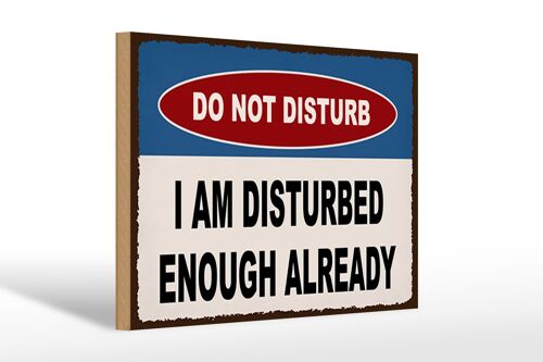 Holzschild Spruch 30x20cm do not disturb a am disturbed