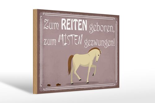 Holzschild Spruch 30x20cm zum Reiten geboren Pferd