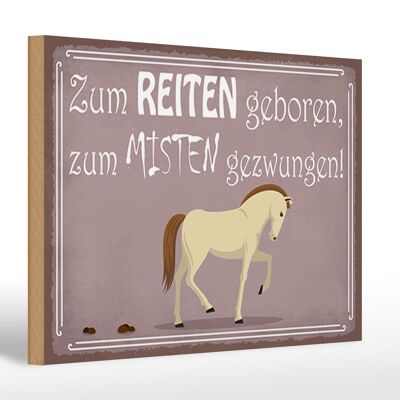 Holzschild Spruch 30x20cm zum Reiten geboren Pferd