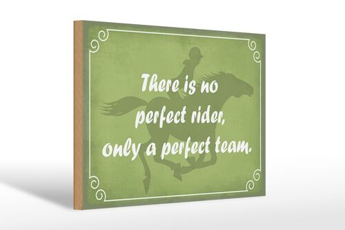 Holzschild Spruch 30x20cm there is no perfect rider only