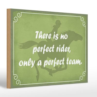 Holzschild Spruch 30x20cm there is no perfect rider only