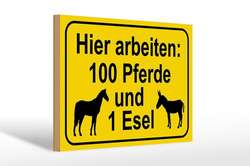 Holzschild Hinweis 30x20cm arbeiten 100 Pferde und 1 Esel