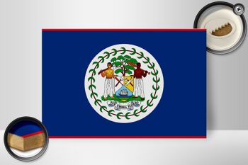 Panneau en bois drapeau du Belize 30x20cm Drapeau du Belize 2