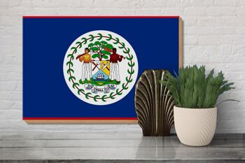 Panneau en bois drapeau du Belize 30x20cm Drapeau du Belize 3