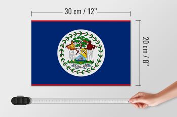 Panneau en bois drapeau du Belize 30x20cm Drapeau du Belize 4