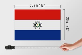 Panneau en bois drapeau du Paraguay 30x20cm Drapeau du Paraguay 4