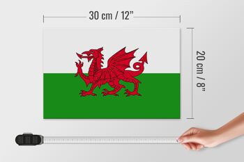Panneau en bois drapeau du Pays de Galles 30x20cm Drapeau du Pays de Galles 4