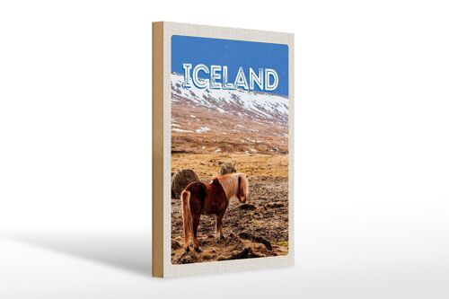 Holzschild Reise 20x30cm Iceland Pony icelandic horse Geschenk