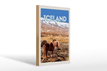 Panneau en bois voyage 20x30cm poney islandais cheval islandais cadeau 1