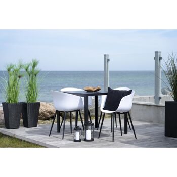 Roda Dining Chair - Chaise en blanc avec pieds noirs 8