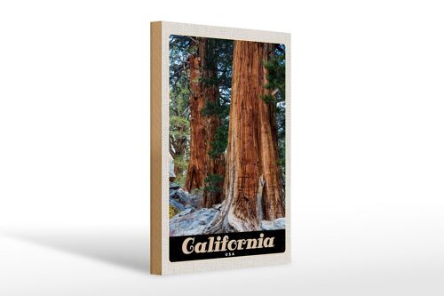 Holzschild Reise 20x30cm California Amerika Natur Wald Bäume