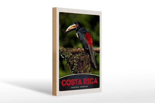Holzschild Reise 20x30cm Costa Rica Central America Vogel