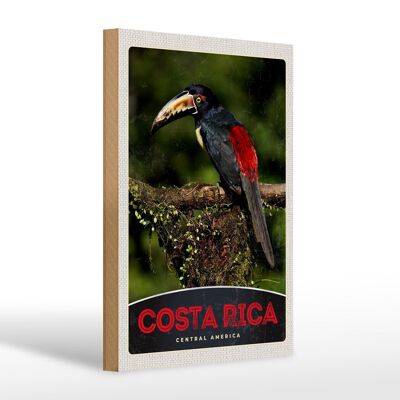Panneau en bois voyage 20x30cm Costa Rica oiseau Amérique Centrale