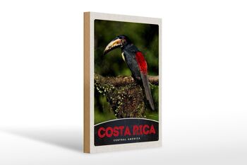 Panneau en bois voyage 20x30cm Costa Rica oiseau Amérique Centrale 1