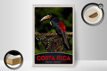 Panneau en bois voyage 20x30cm Costa Rica oiseau Amérique Centrale 2