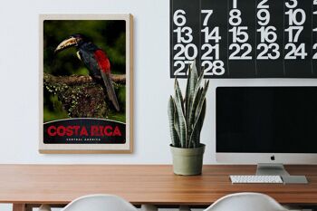Panneau en bois voyage 20x30cm Costa Rica oiseau Amérique Centrale 3