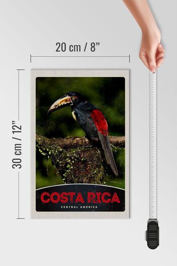 Panneau en bois voyage 20x30cm Costa Rica oiseau Amérique Centrale 4