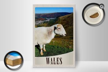 Panneau en bois voyage 20x30cm Pays de Galles Royaume-Uni prairie de moutons 2