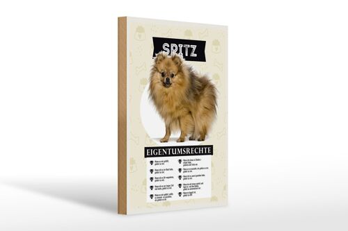 Holzschild Spruch 20x30cm Spitz Eigentumsrechte Geschenk