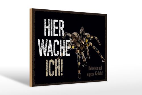 Holzschild Spruch 30x20cm Spinne hier wache ich eigene Gefahr